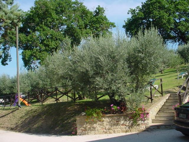 Agriturismo La Cantina San Martino Asís Exterior foto